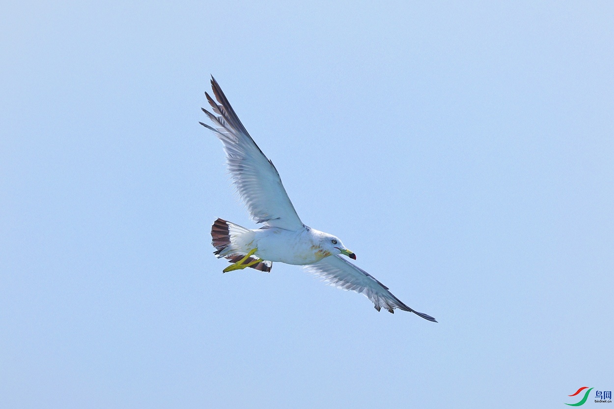 DSC_6342.jpg