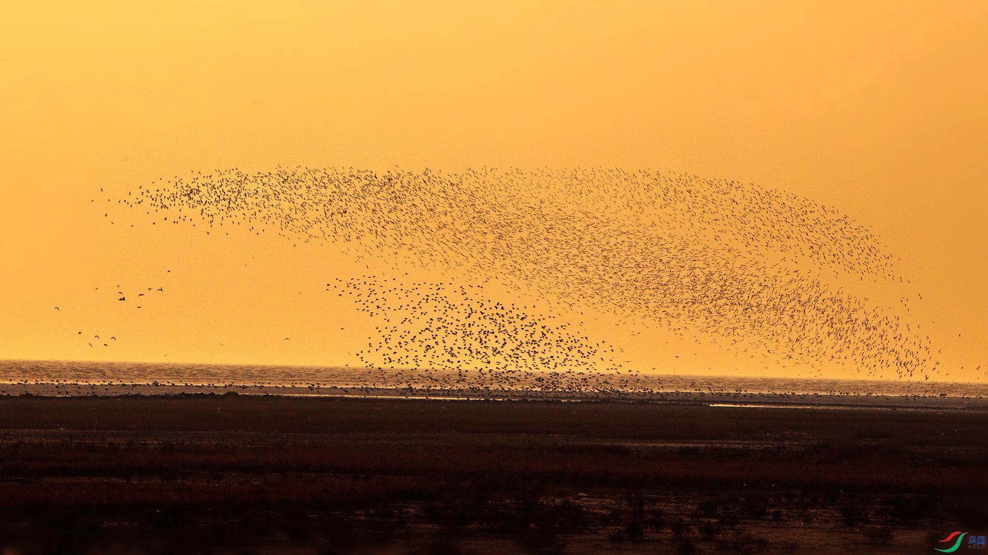 Ϧ���������ַ���