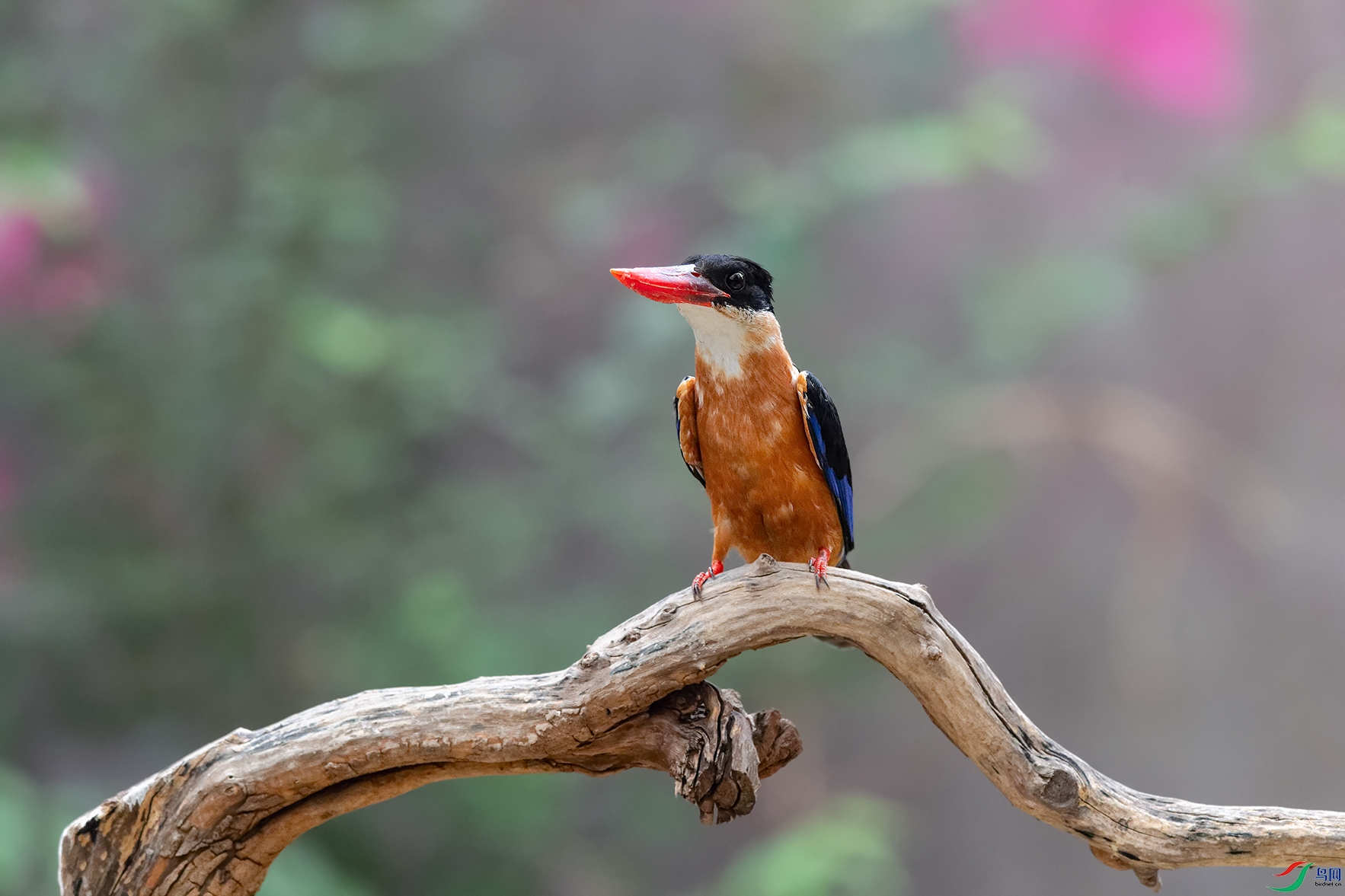 3DSC_7680_DxOa.jpg