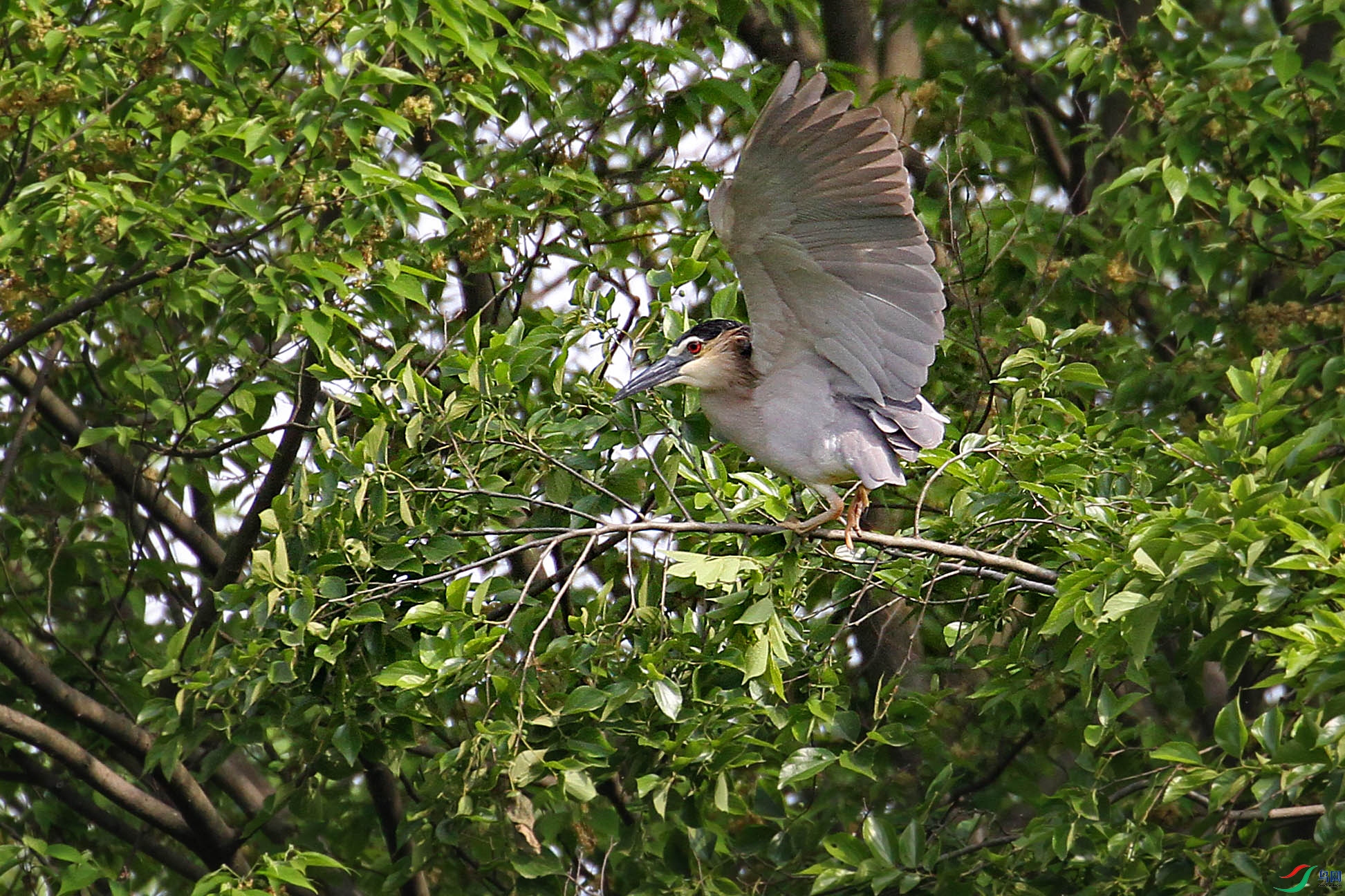 IMG_8923.JPG