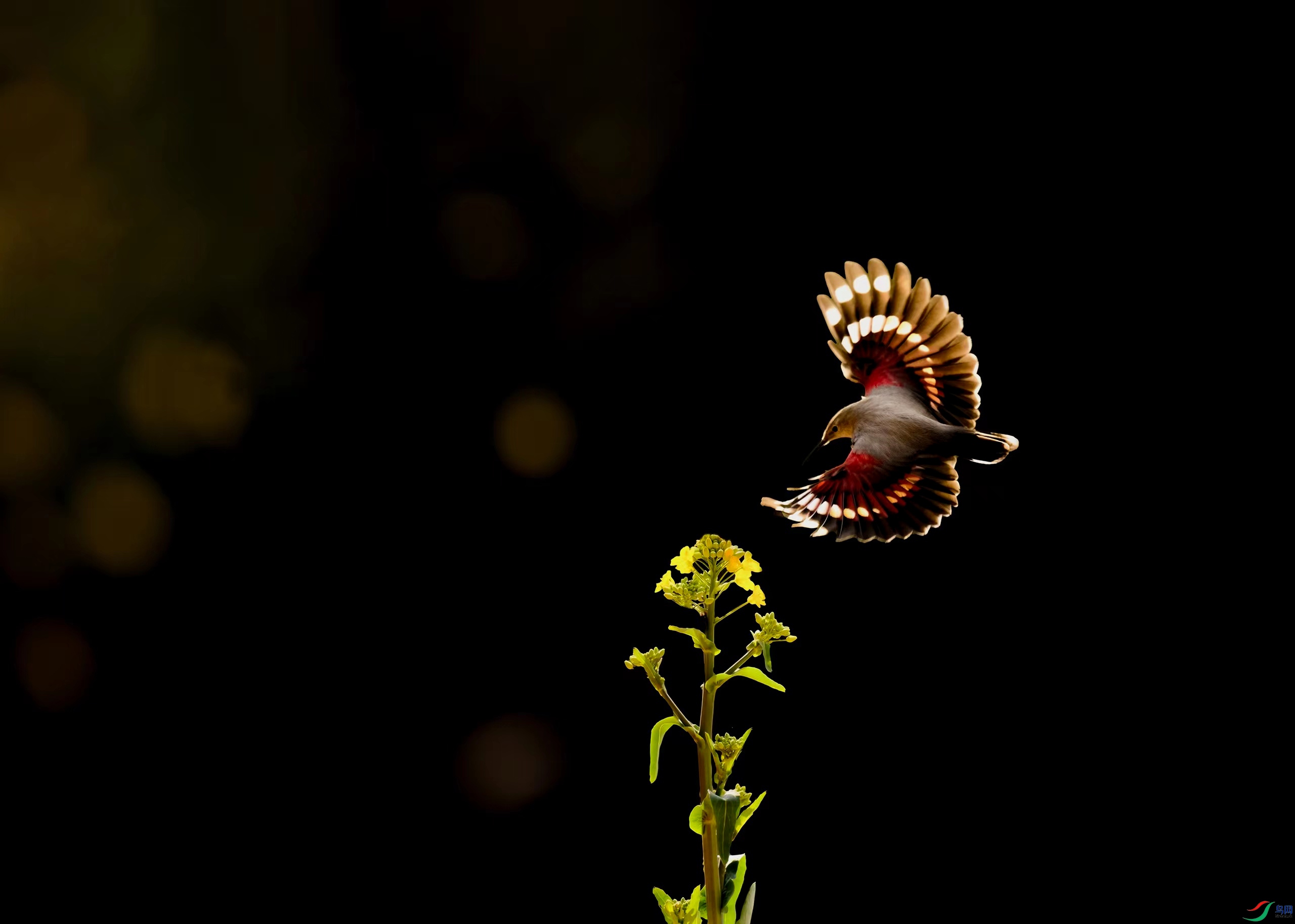 204eb8959a8ffaf46f6b6df55a2130a ����.jpg