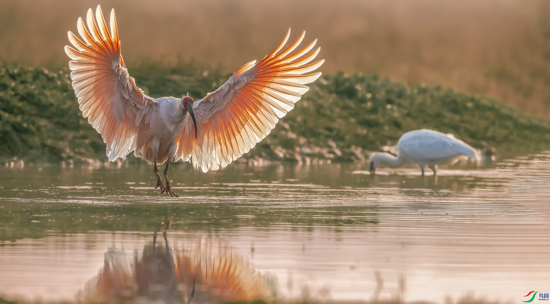 ��篼��������