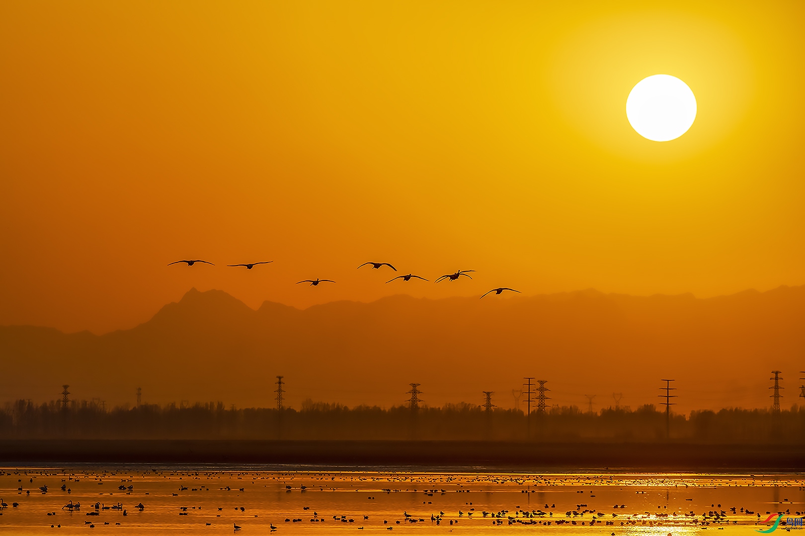 IMGL1716 ���� 3.jpg