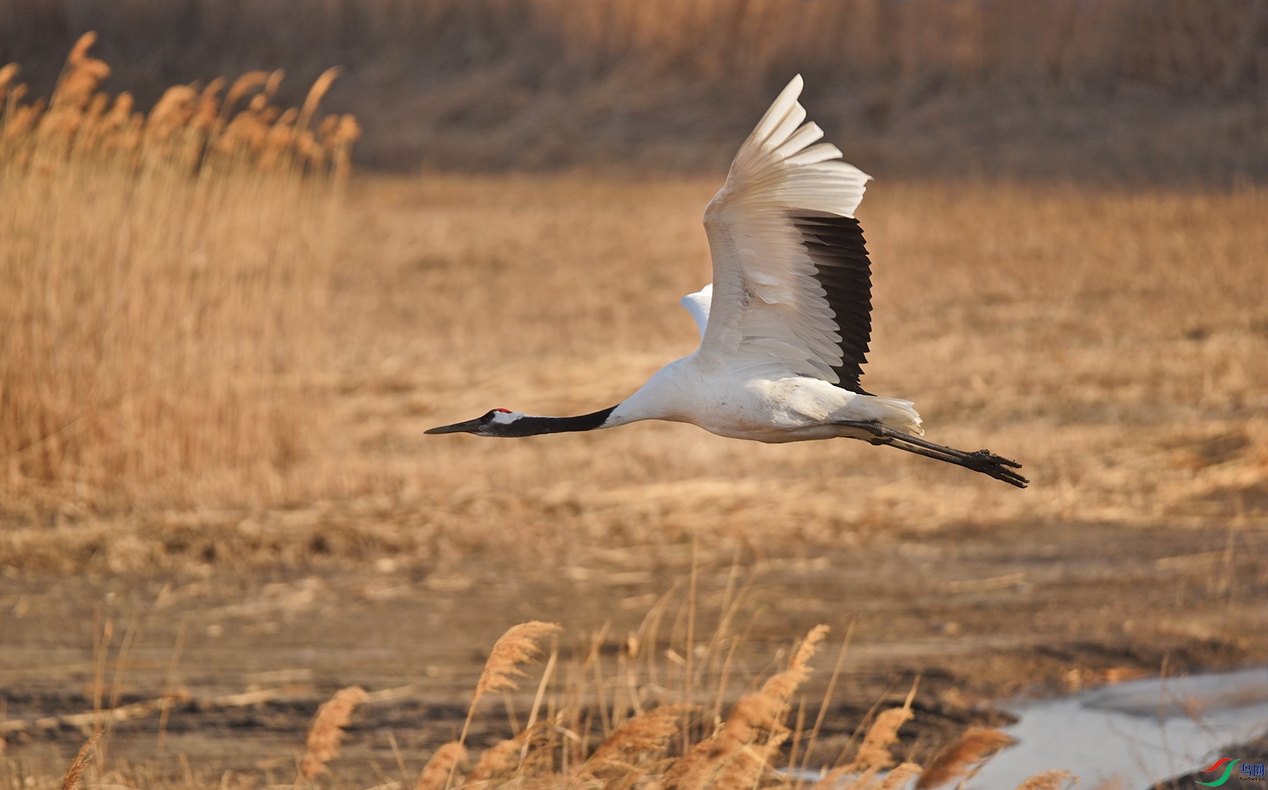 DSC_3177.jpg