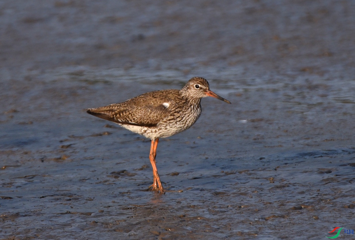 DSC_6251.jpg