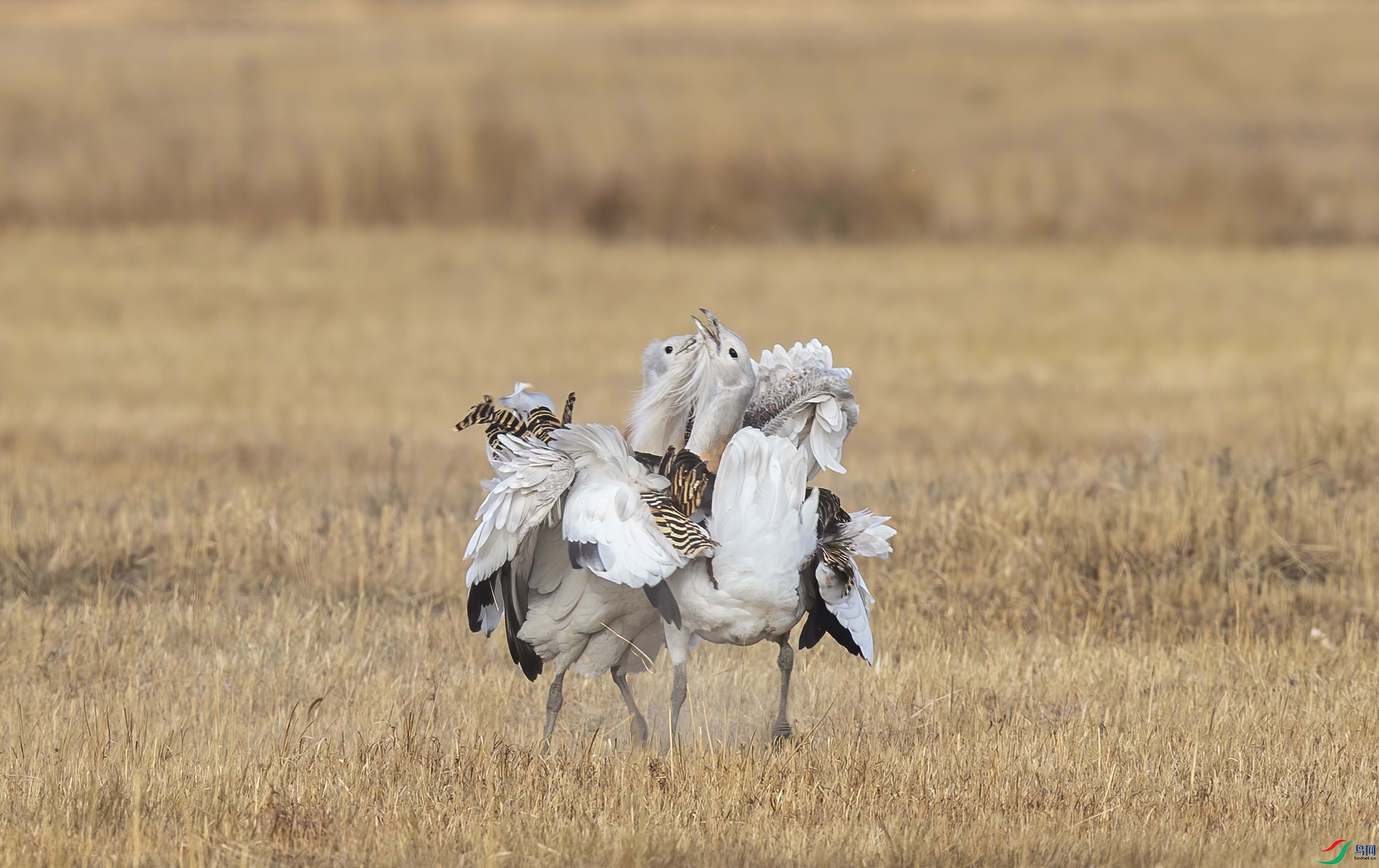 AC3I7122 ����.jpg