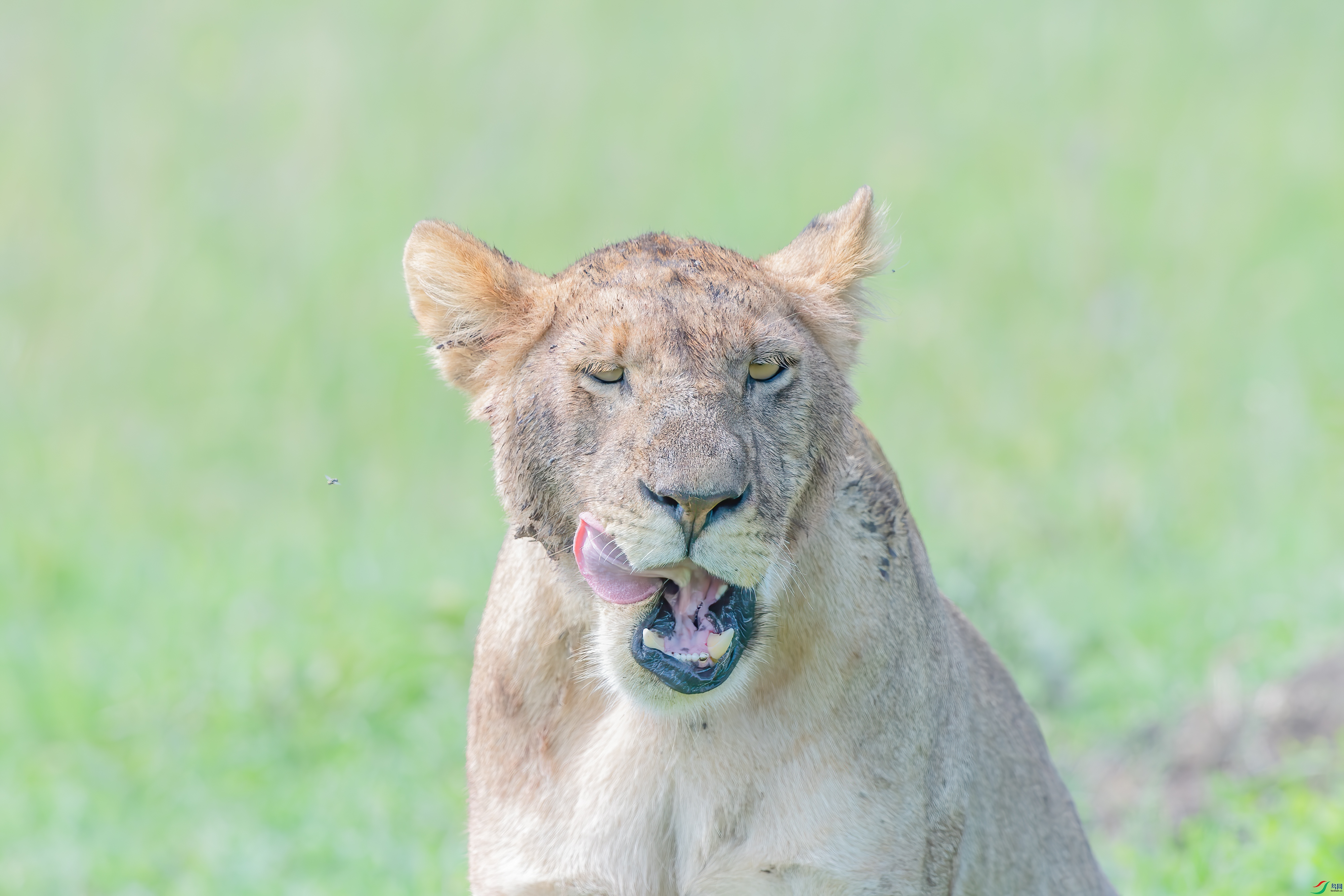 DSC_8328.jpg
