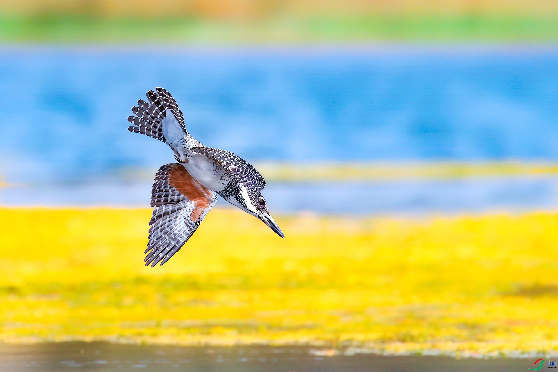 0_DSC3614-topaz-denoiseraw-sharpen.jpg