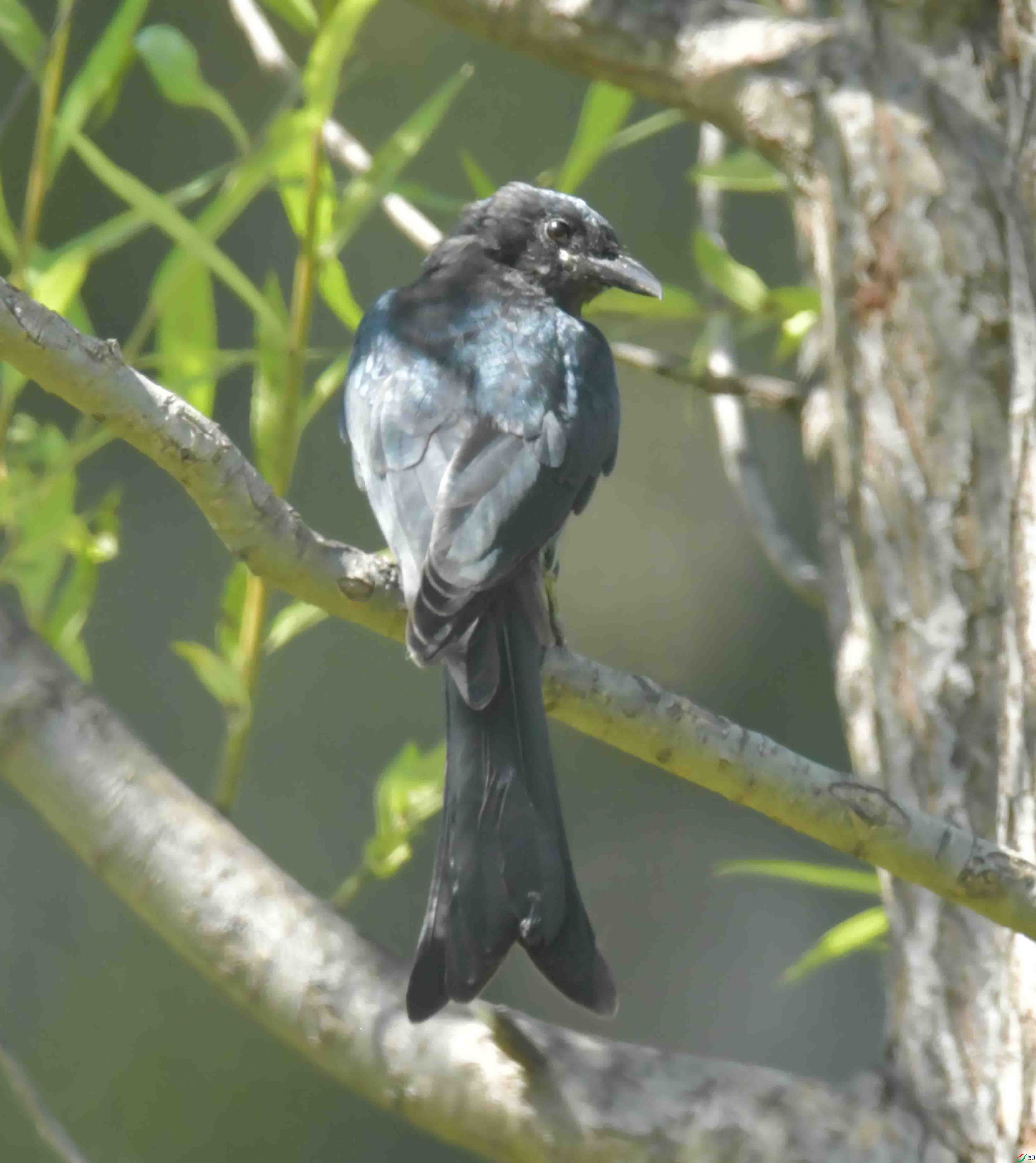 DSC_2159.JPG