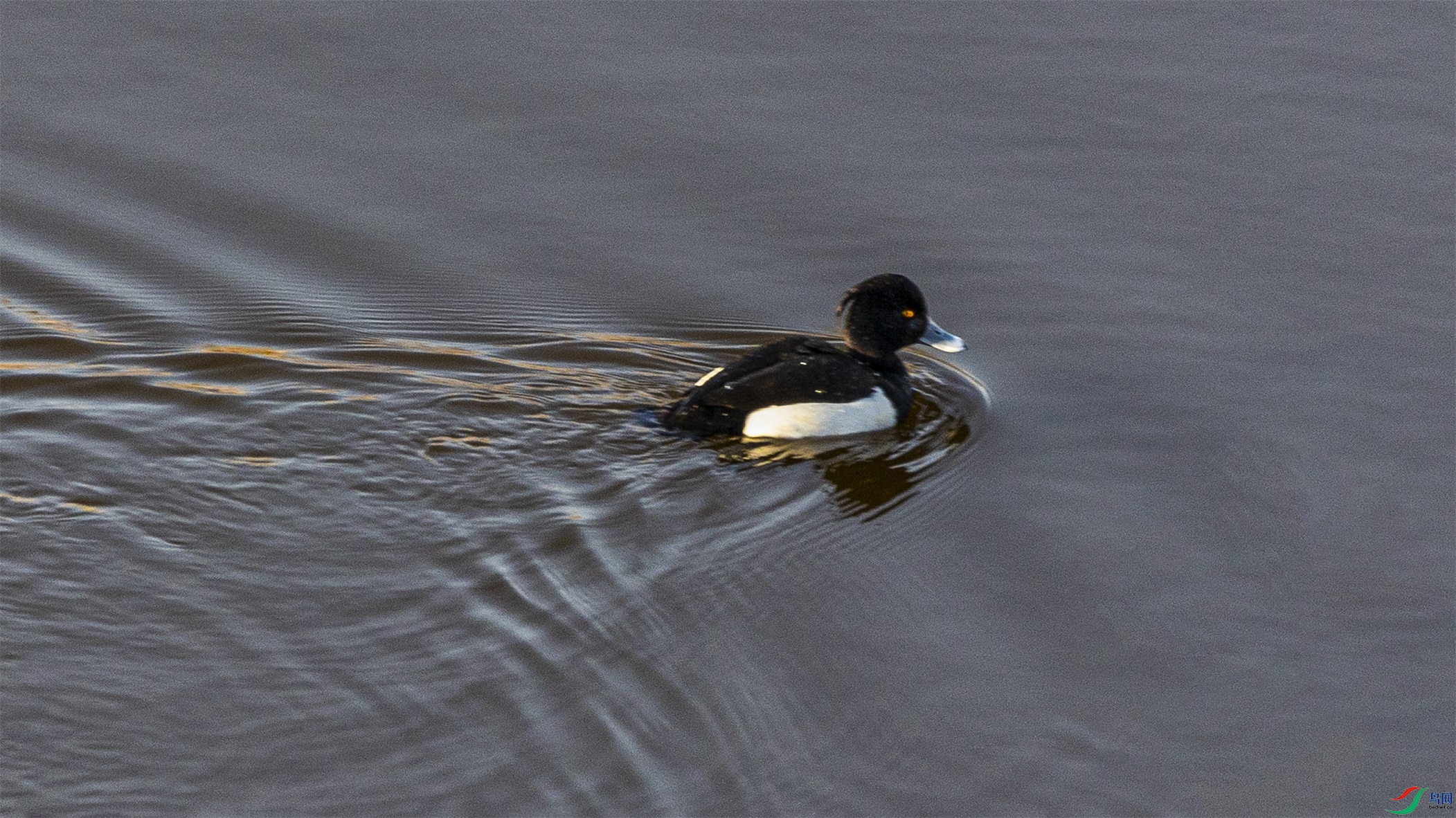 1K3A3825 ����1.jpg