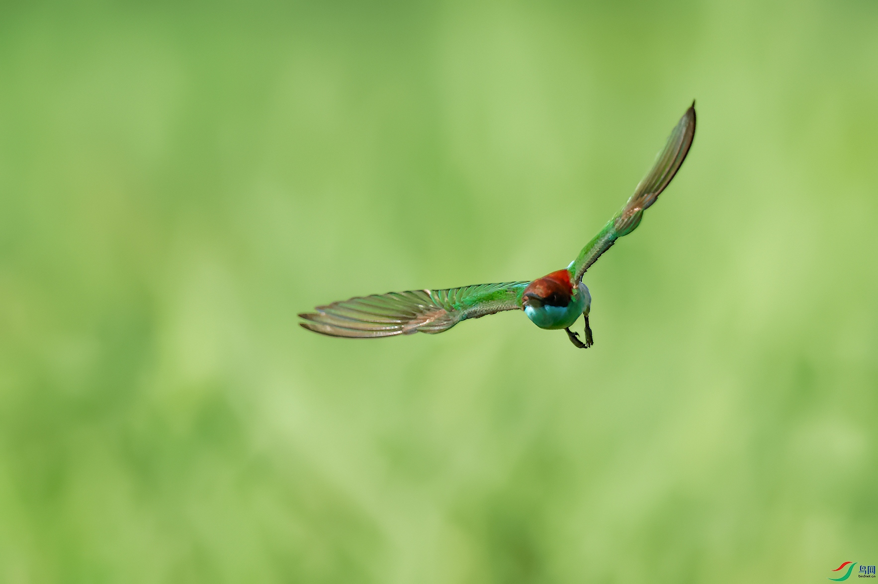 DSC_7237_DxOa.jpg