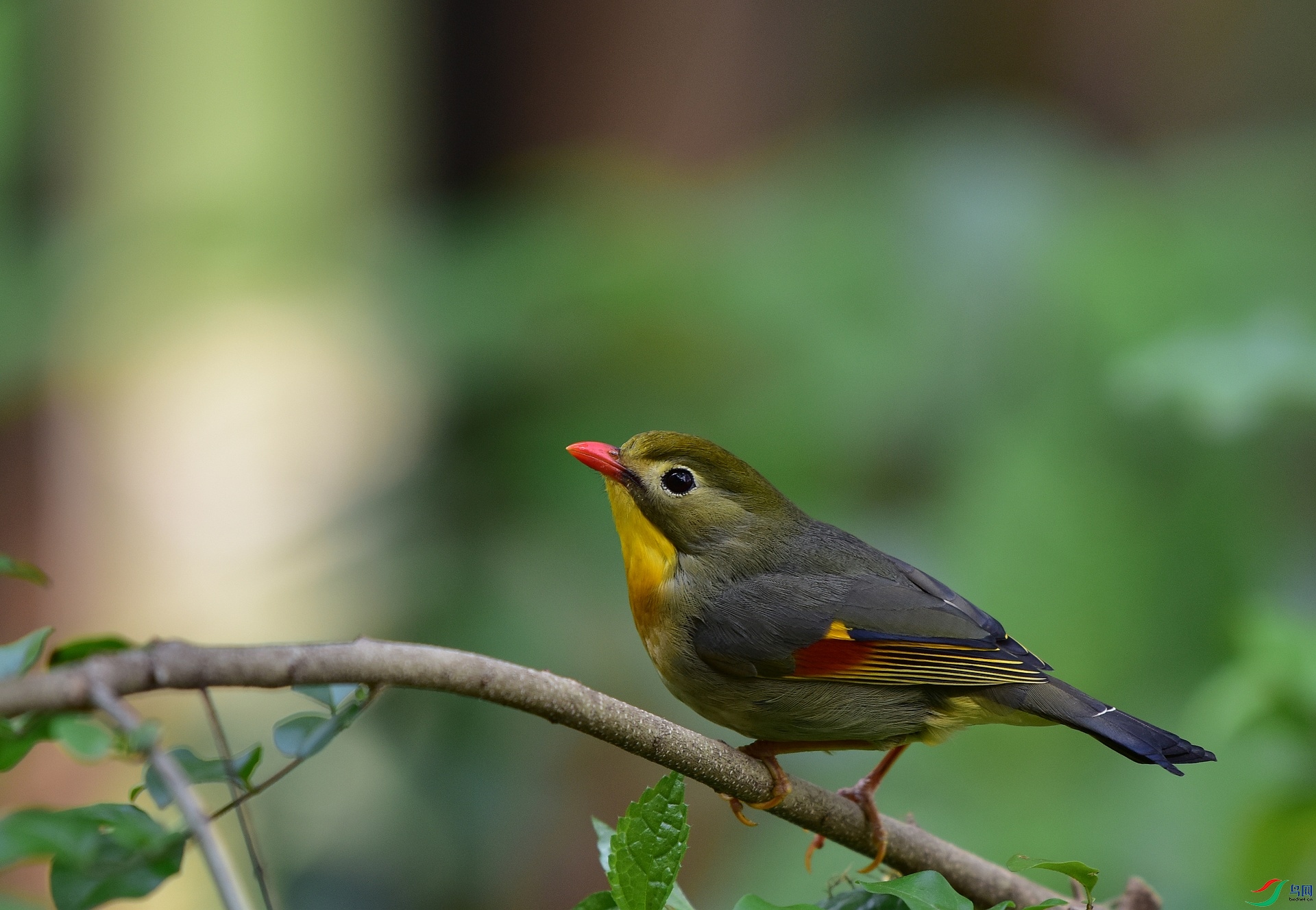 D8I_4300.jpg