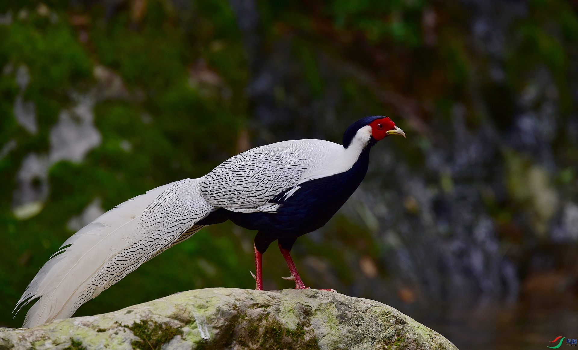 D8I_2503.jpg
