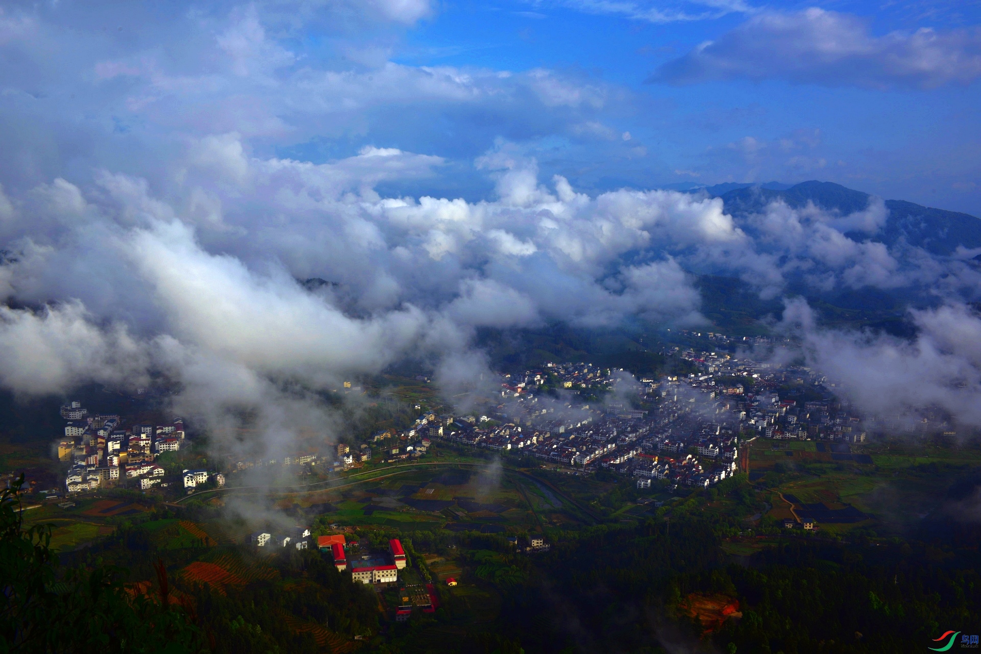 D8I_4655.jpg