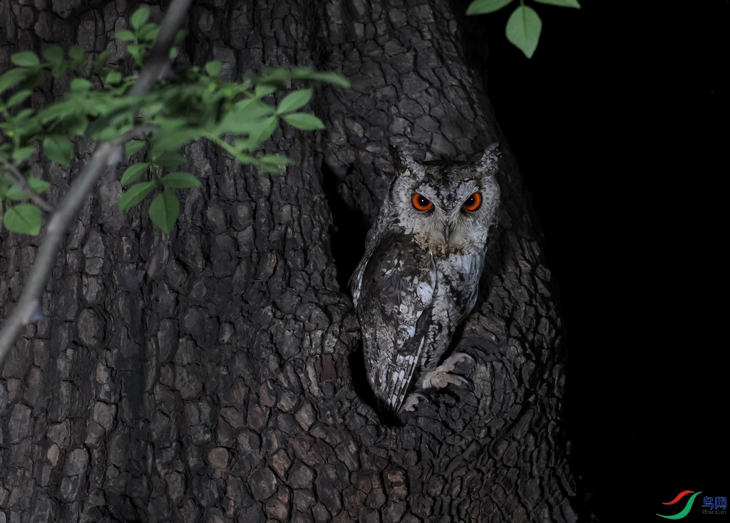 ��������������û�б����^������^�����深ֳ֮�ء�