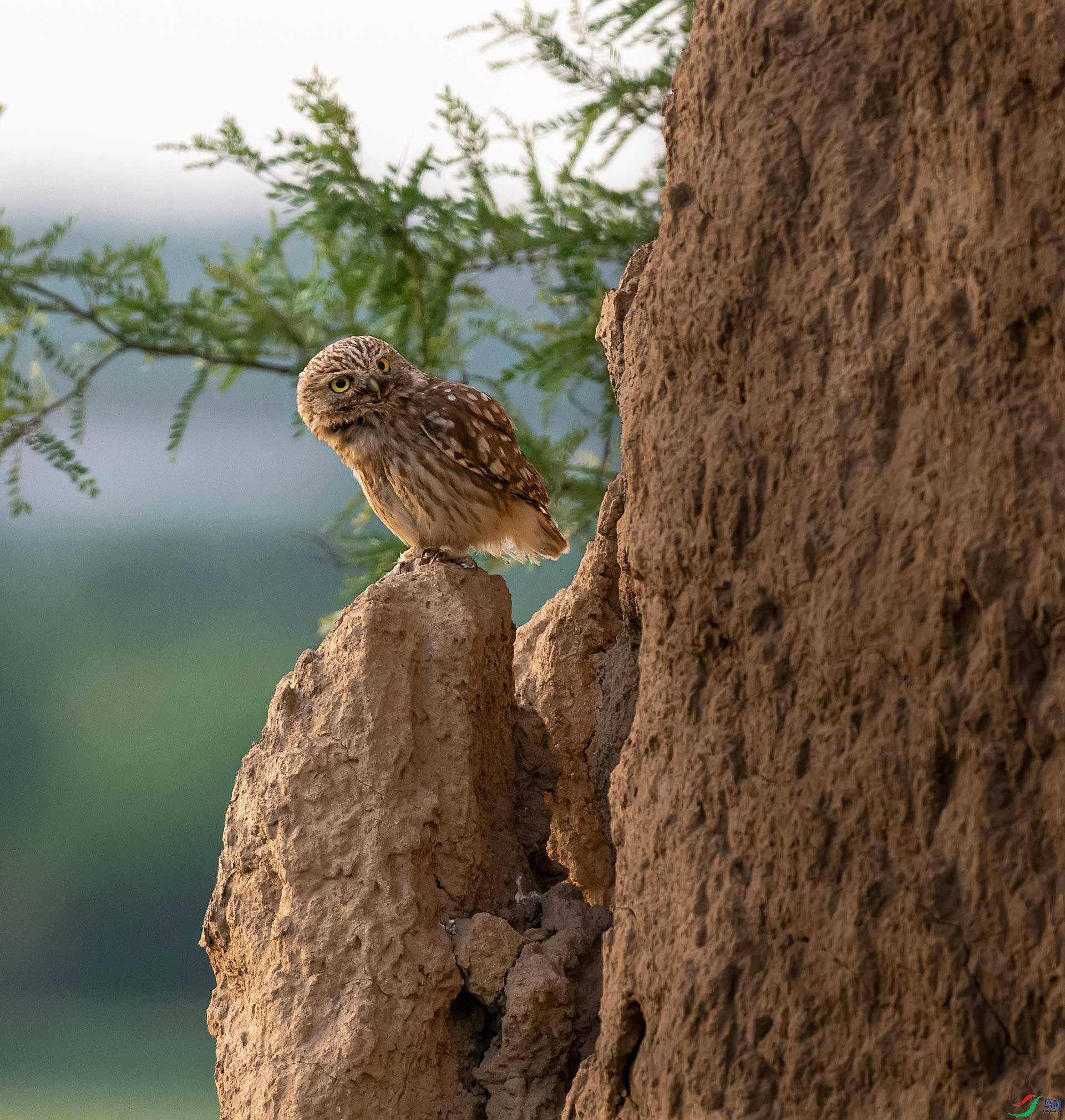 ��ƽ�����ȣ���û�����Ƹ�С�^�����������෱ֳ֮�ء�