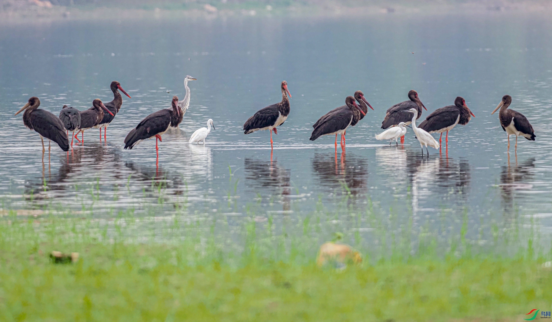 û����ʪ�أ���û�����ݵ�ʳ����Դ��