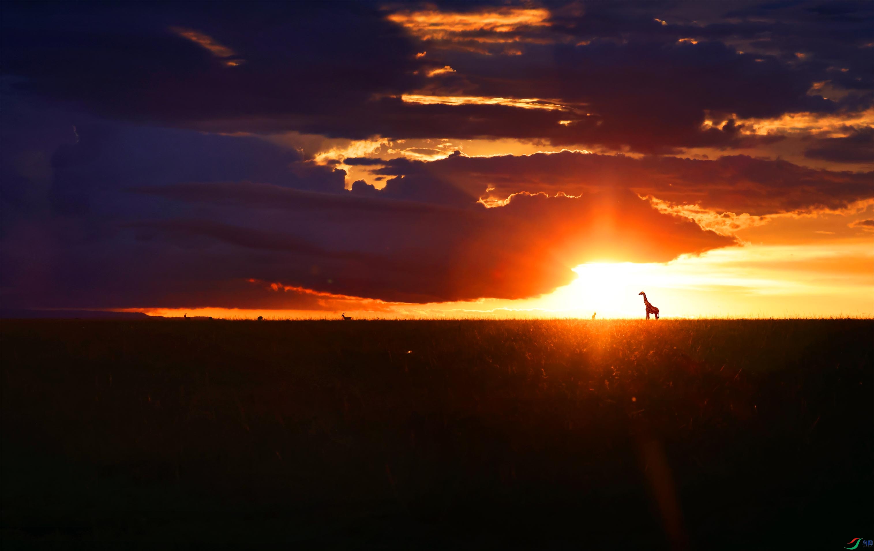 ������������ϼ ����.jpg