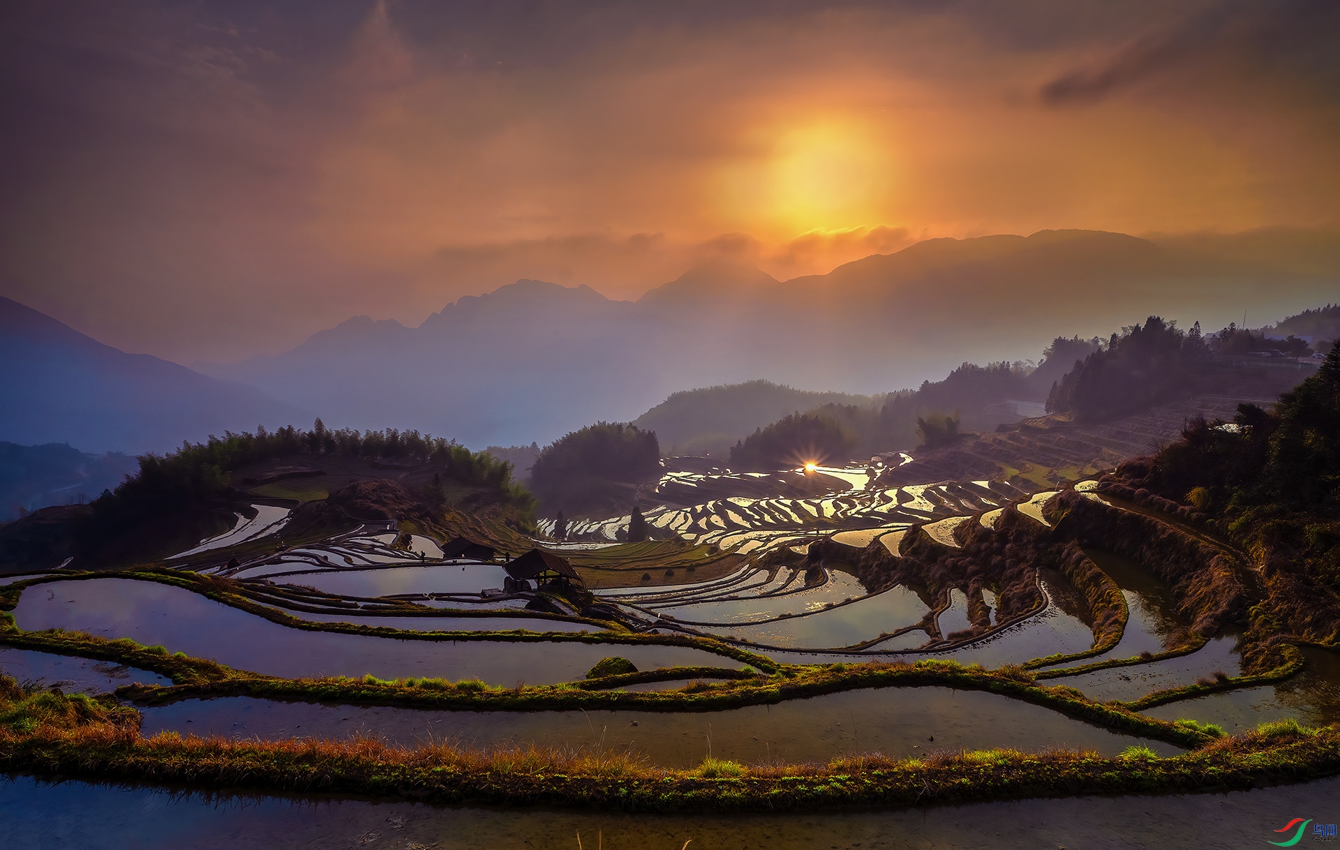 DSC_1346 - �ƺ������ճ� - AA.jpg