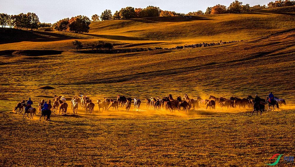 ��ԭ����