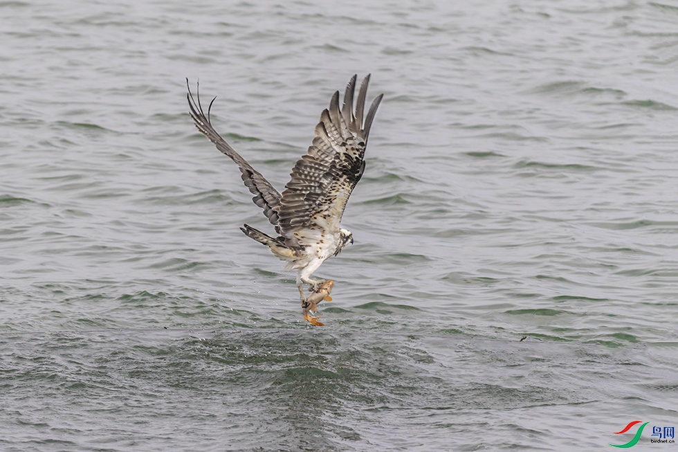 DSC_8117.jpg