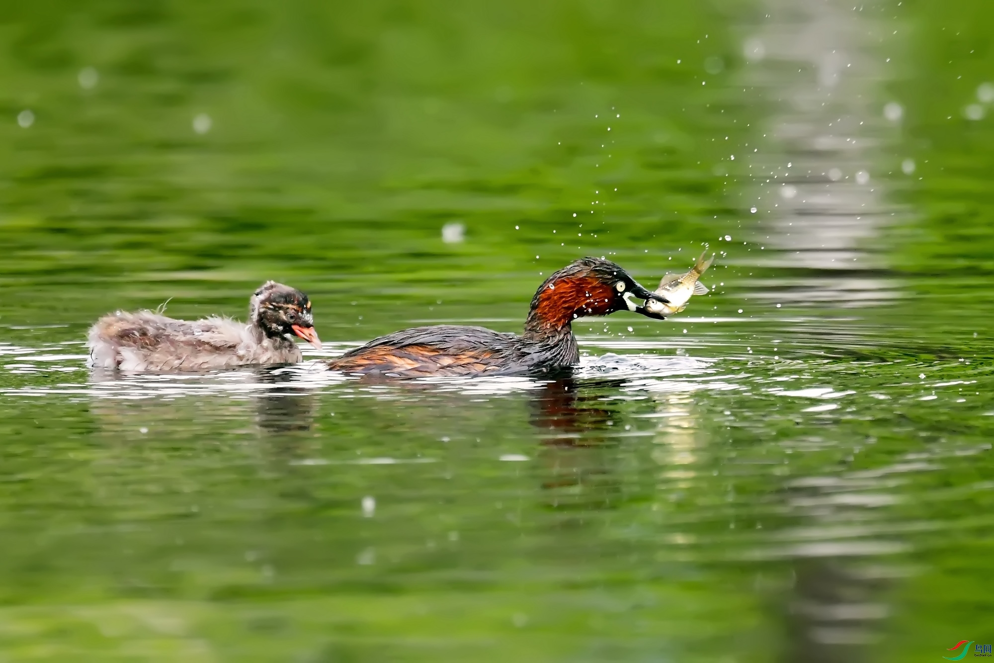 DSC_7778.jpg