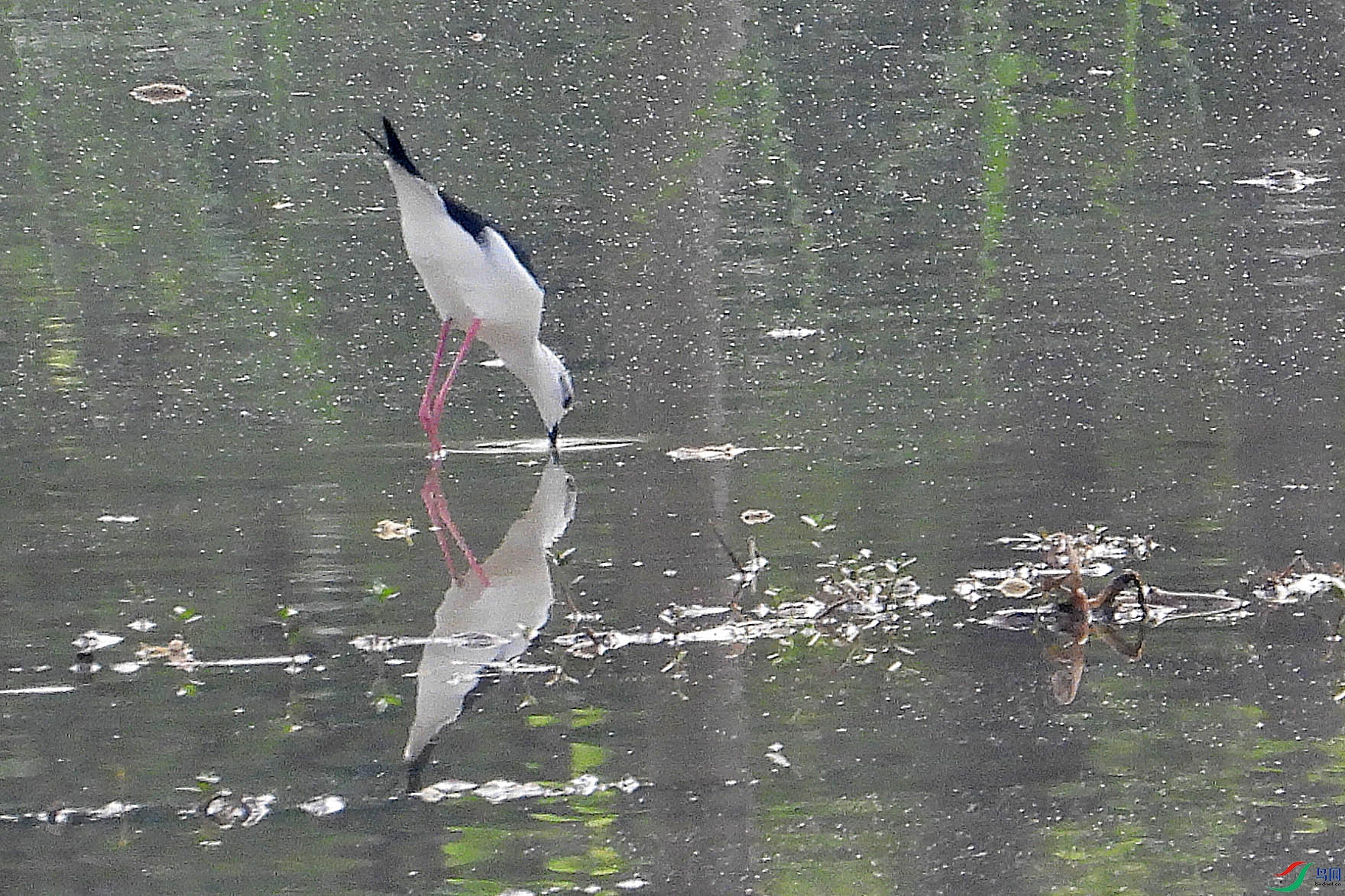 DSCN5583.JPG