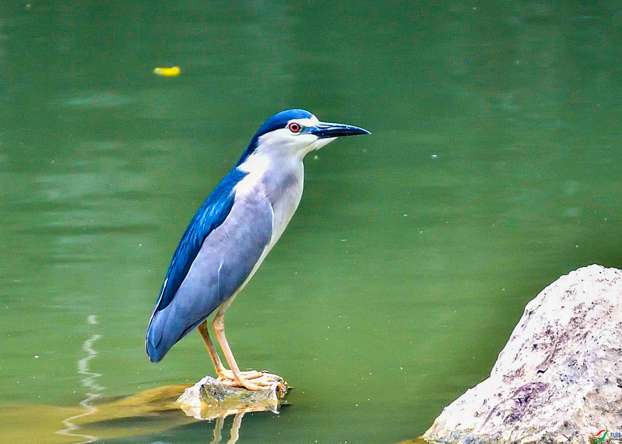 DSC_6244.jpg