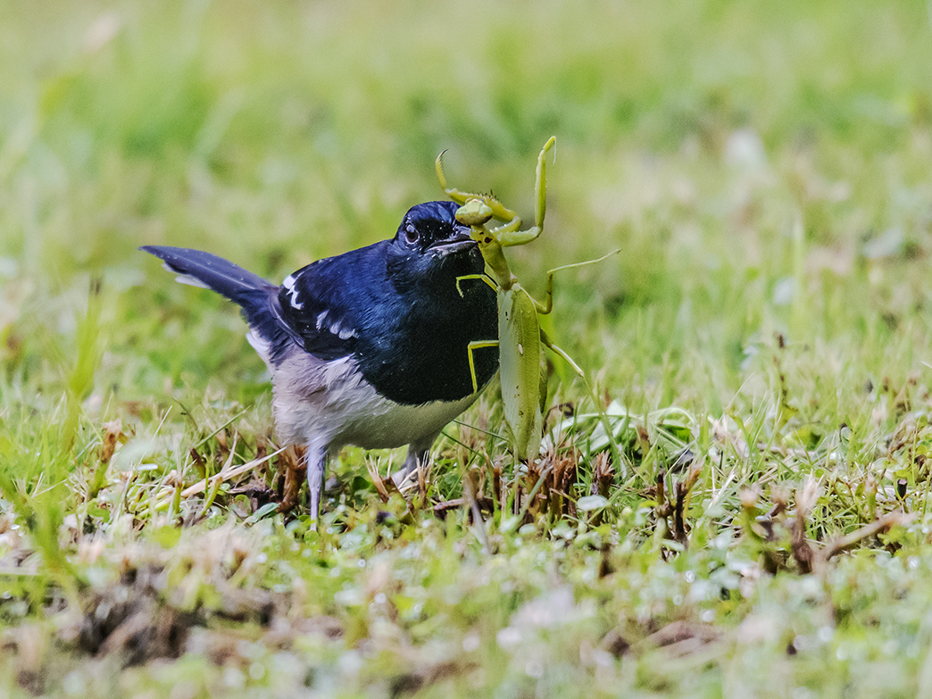 DSC_5277.jpg