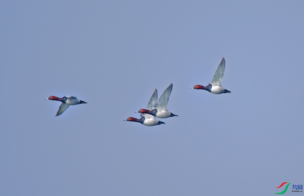 DSC_5319.jpg