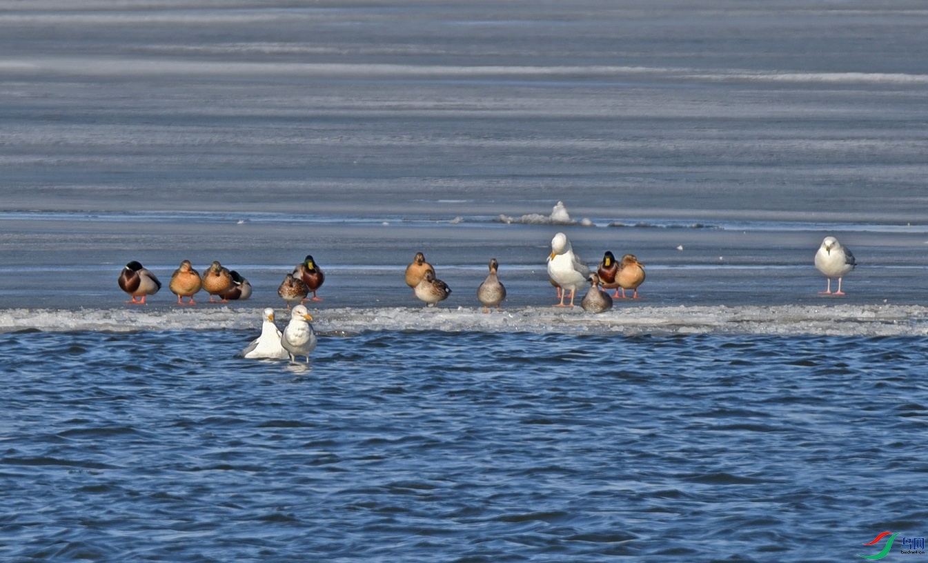 DSC_3989.jpg