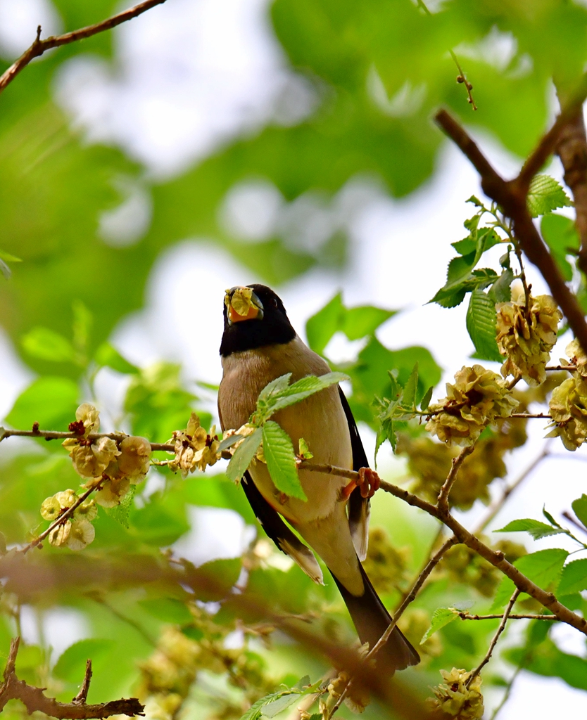 DSC_3045.jpg