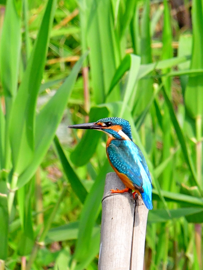 DSC_3257.jpg