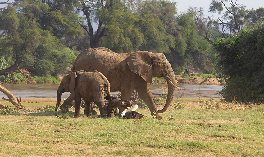 ���޴��� (2).jpg