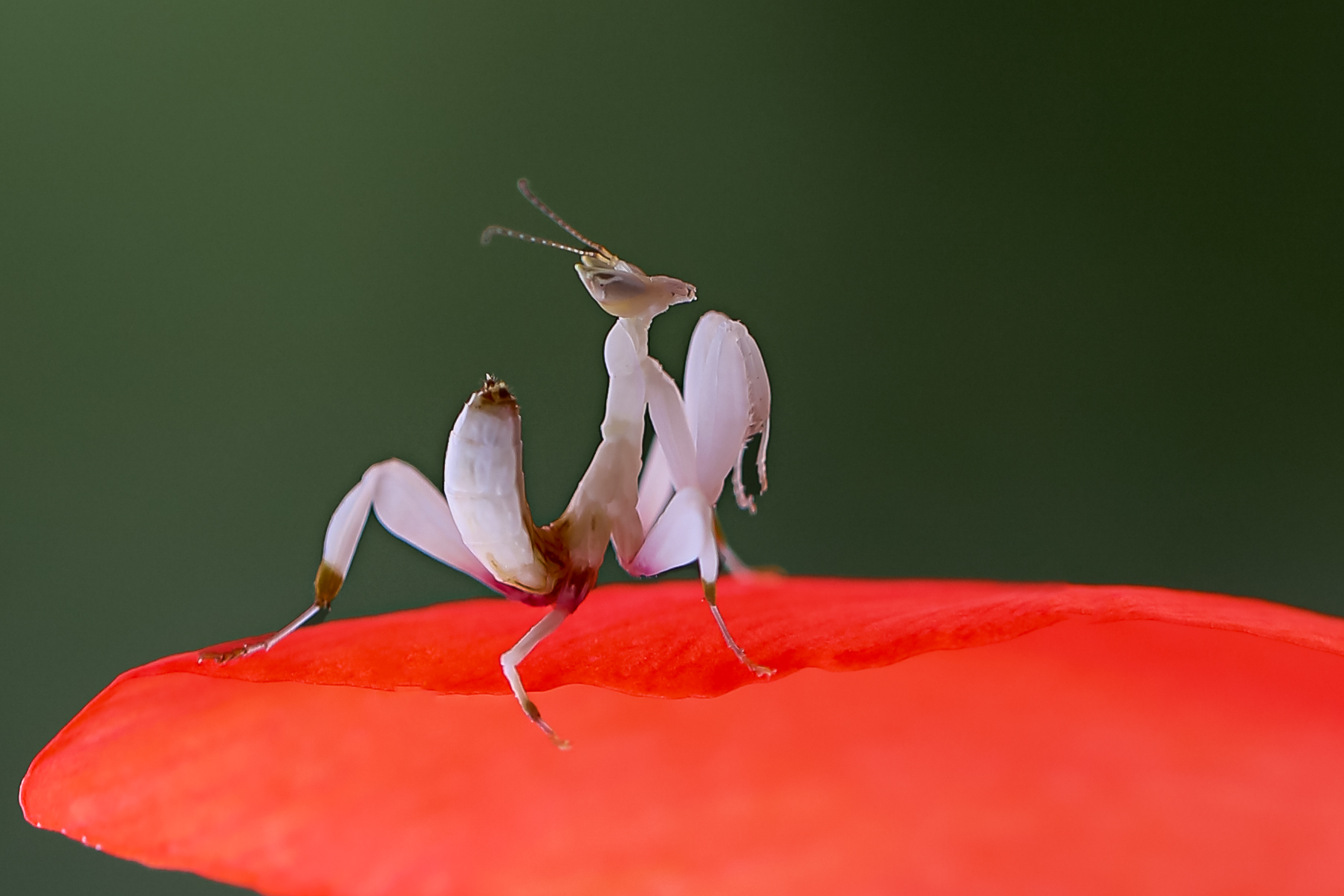 NK5A6246 ����.jpg