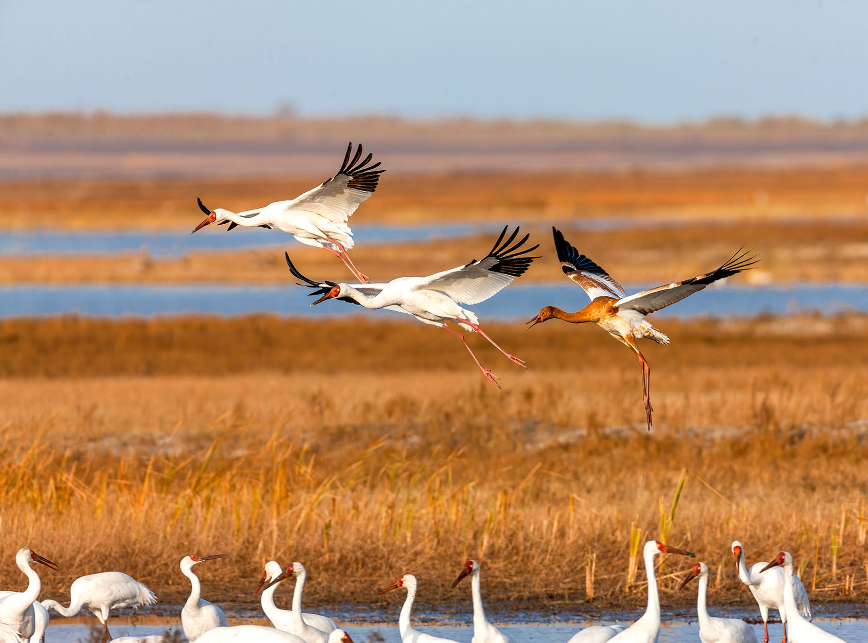 281V5940 ���� 4.jpg