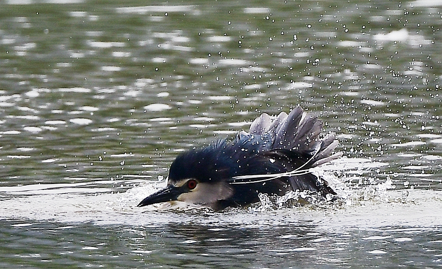 DSC_5427.JPG