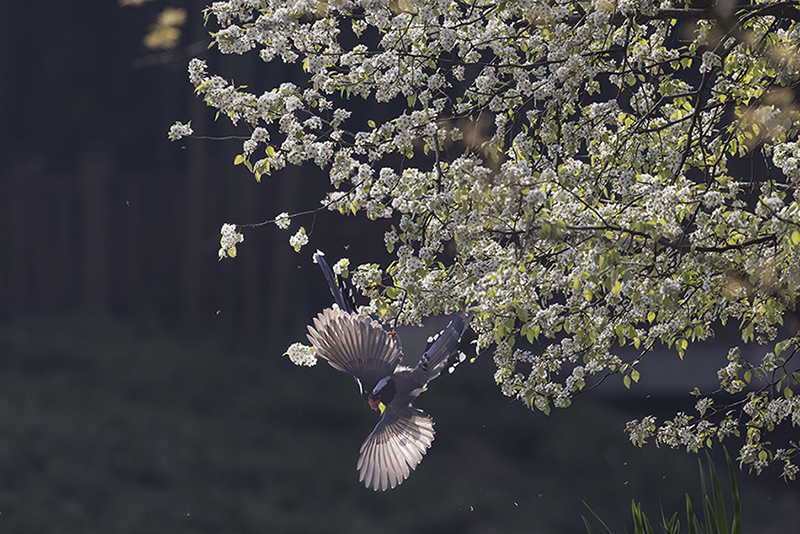 2F5A2670 ����.jpg2.jpg