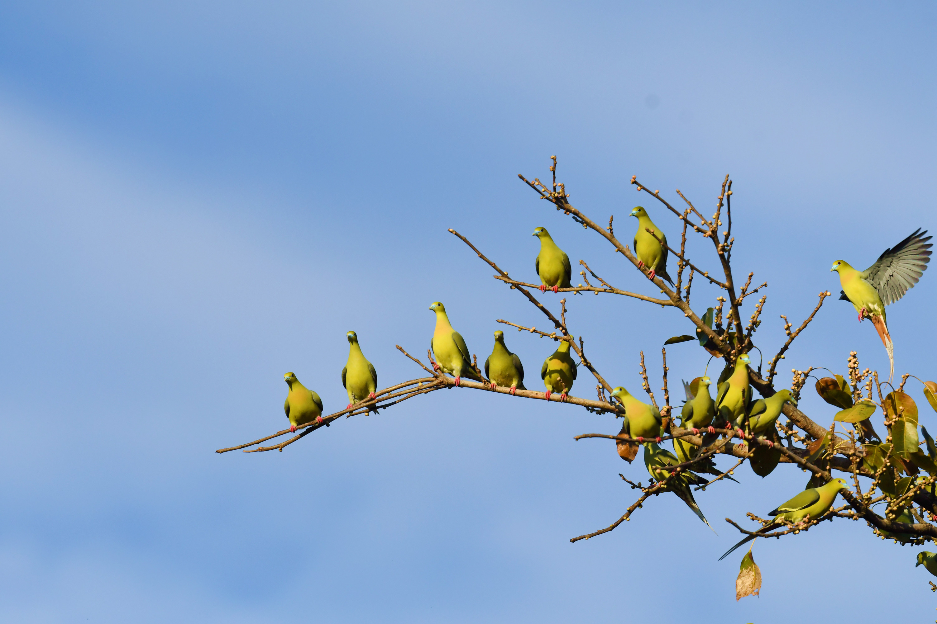 ��β��� (3).JPG