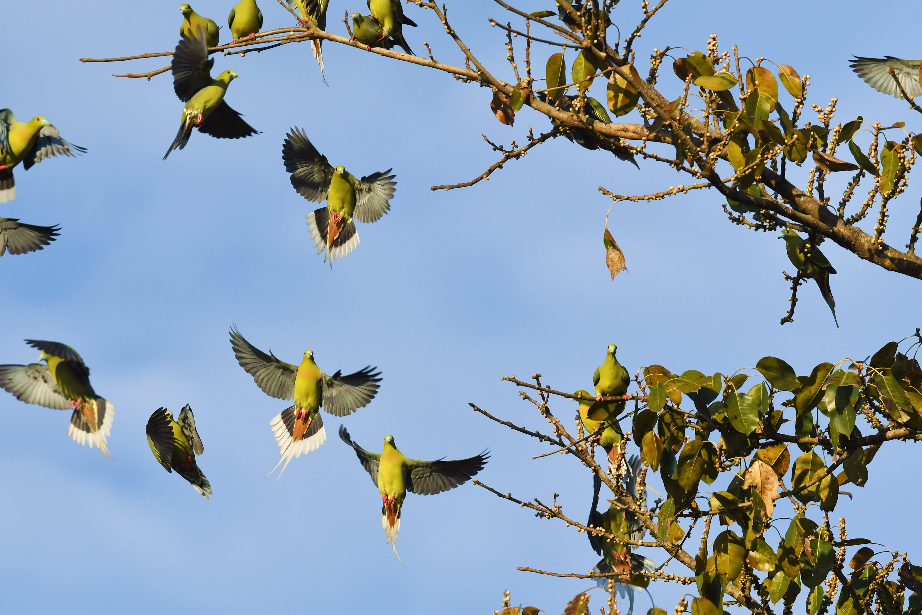 ��β��� (2).JPG