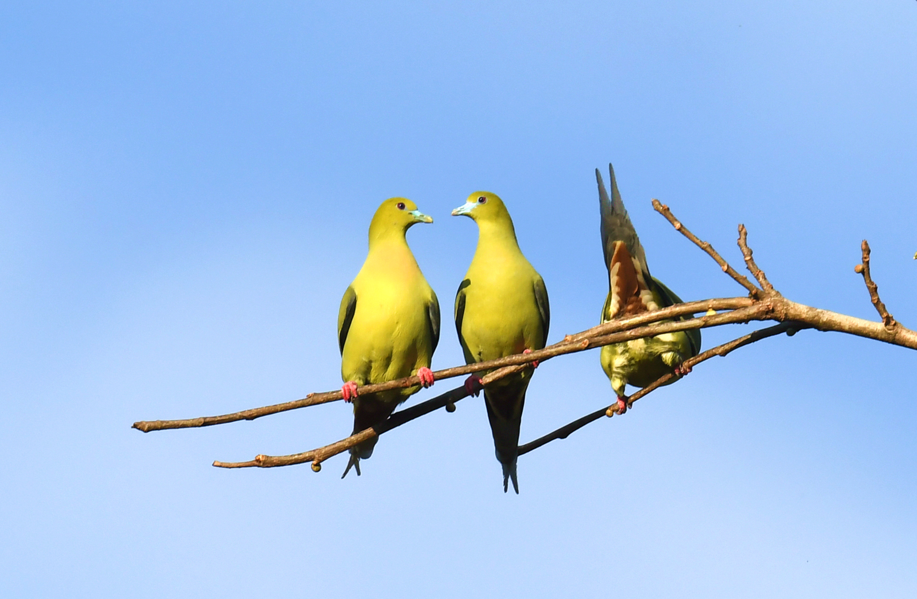 ��β��� (5).JPG