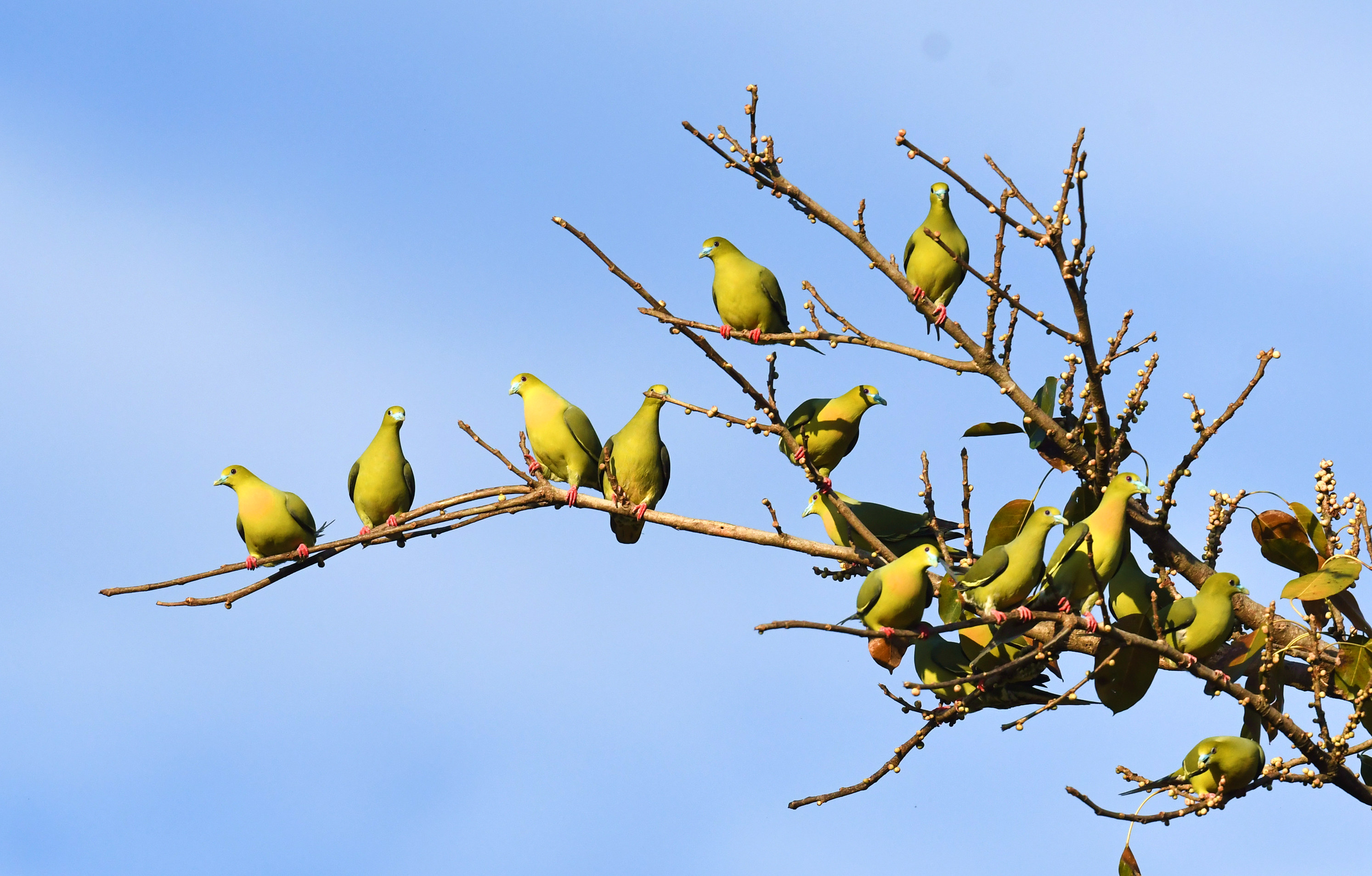 ��β��� (4).JPG