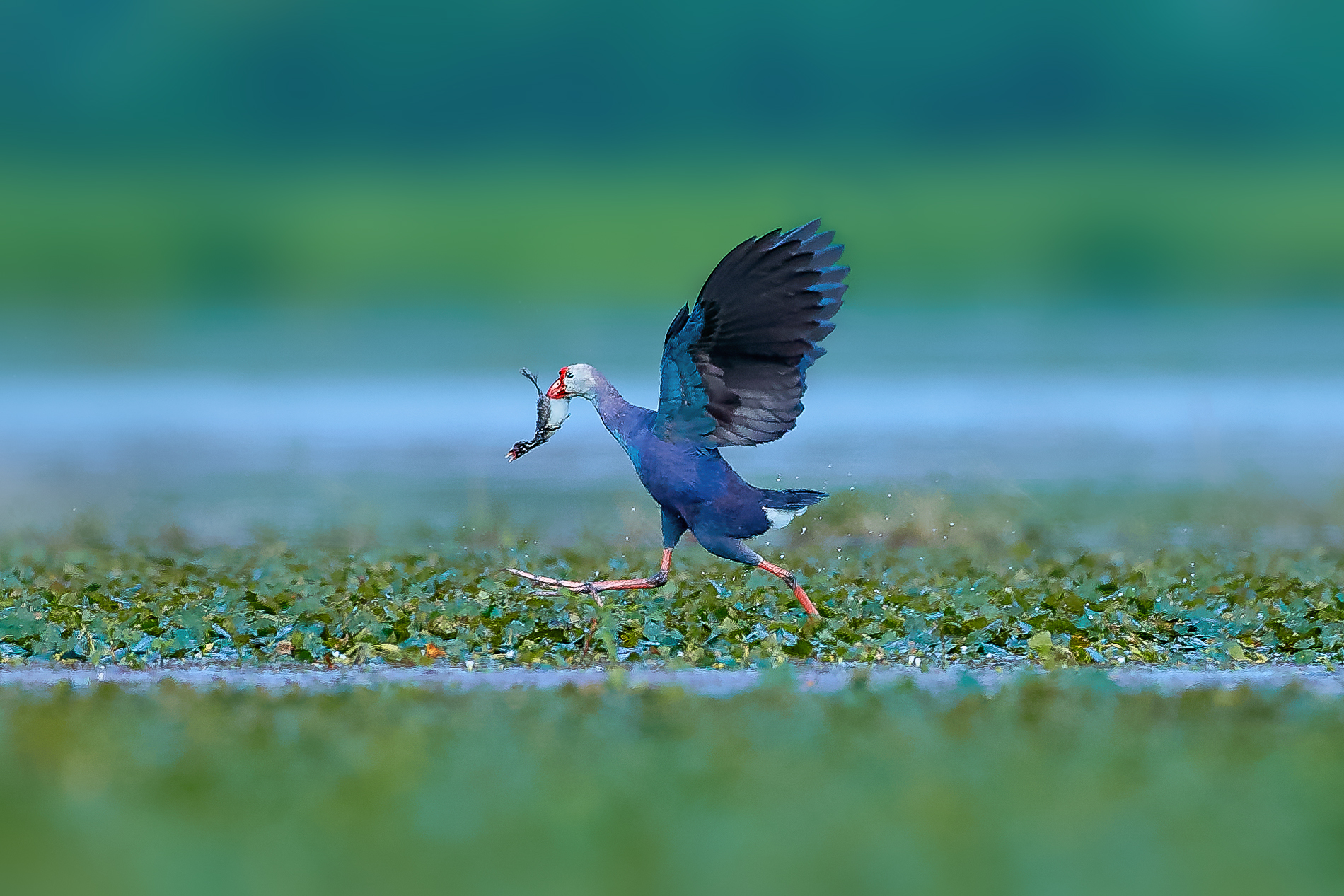 AV3I3574��-1_1 ����-HZW.jpg