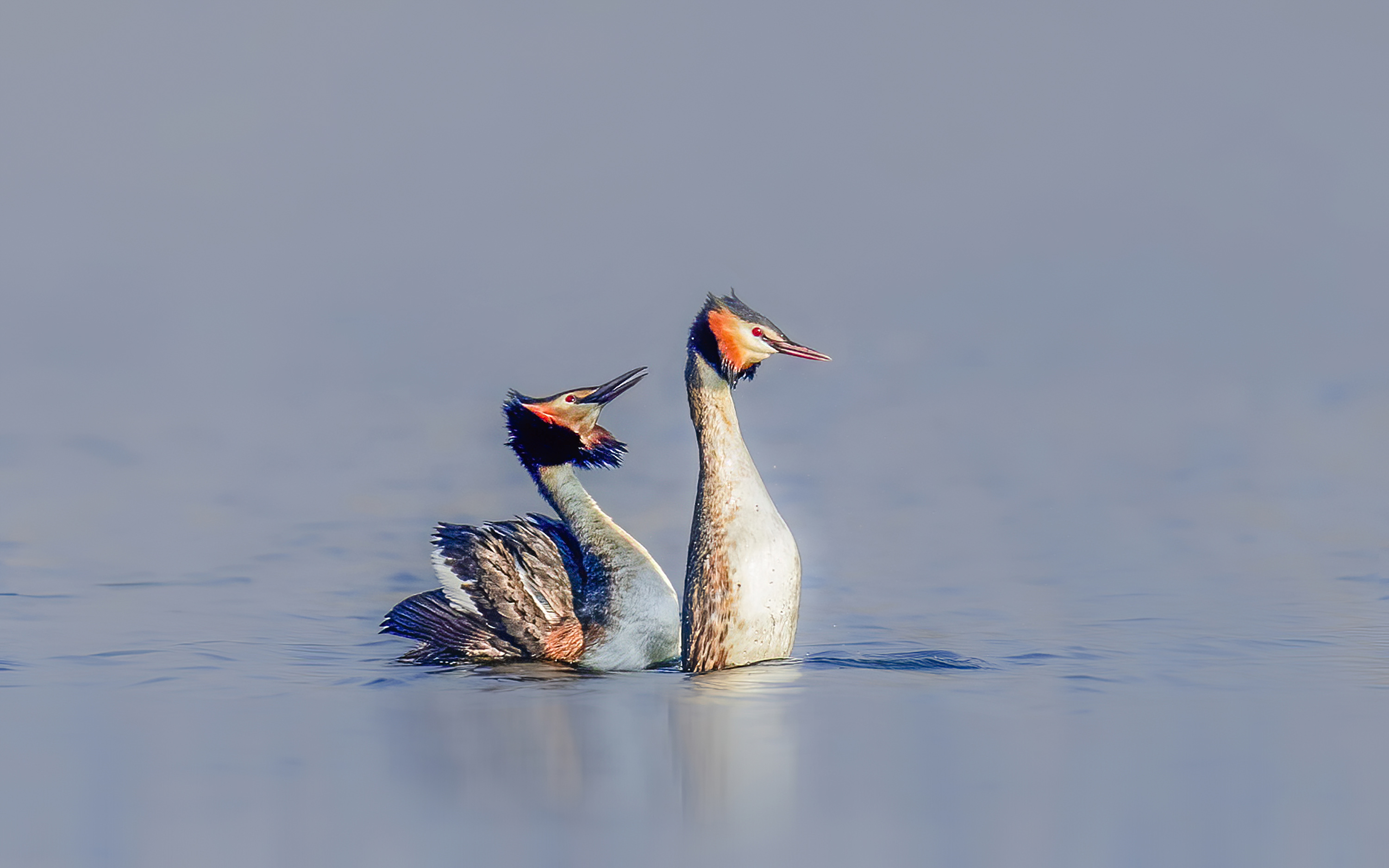 _JLN7301 ����OK.jpg