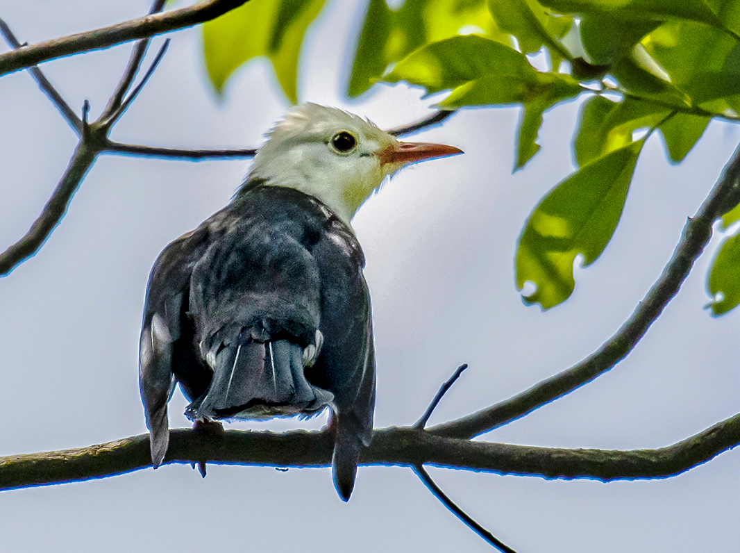 DSC_1729.jpg