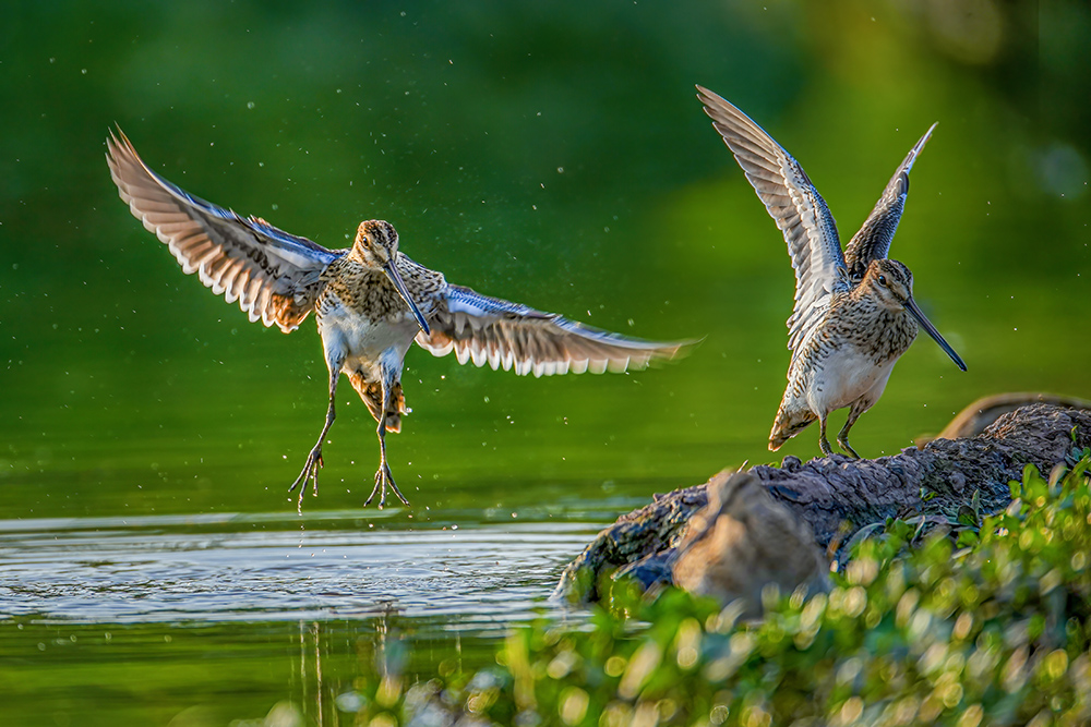 DSC03845.JPG ���� 2.jpg