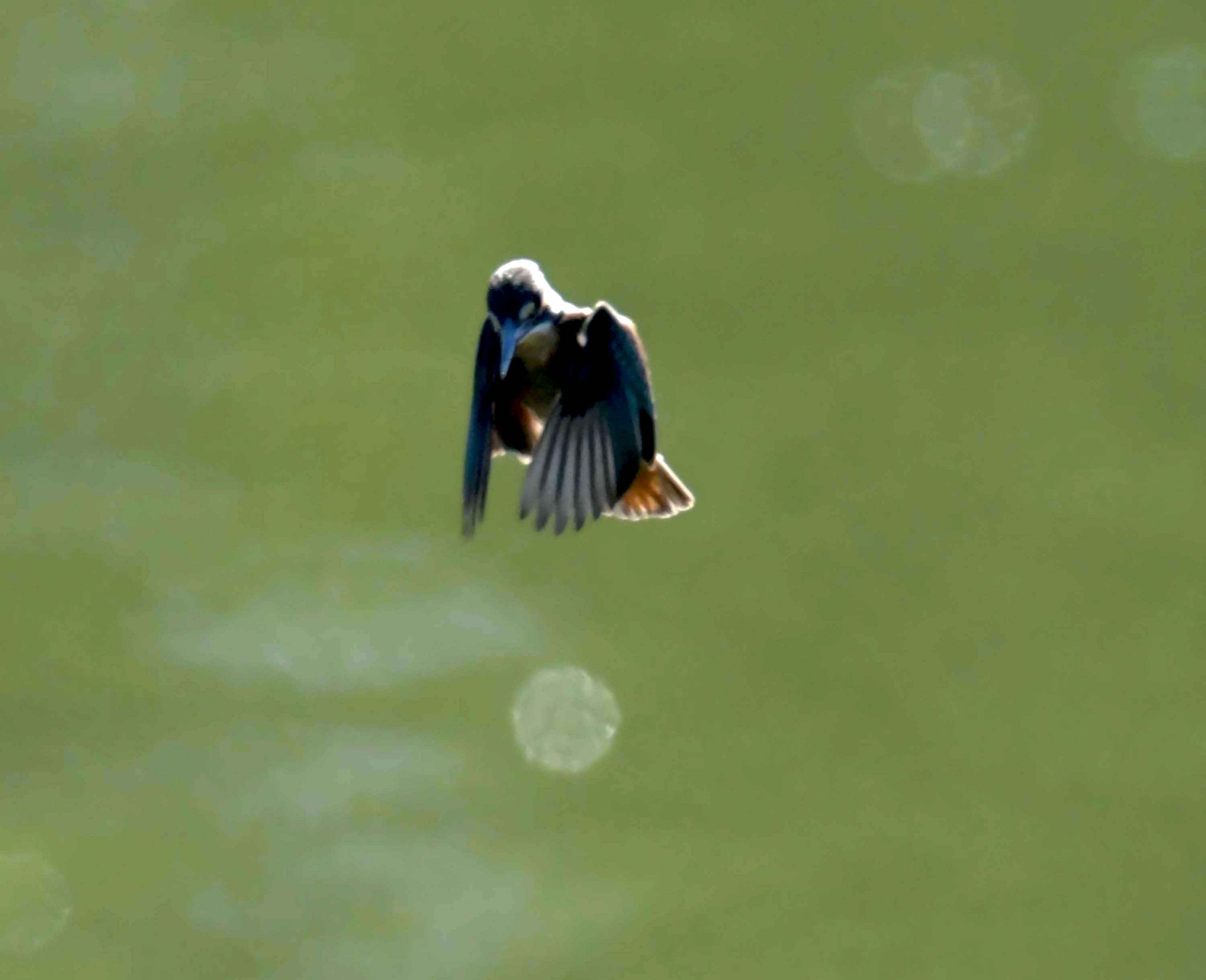 DSC_5007.JPG