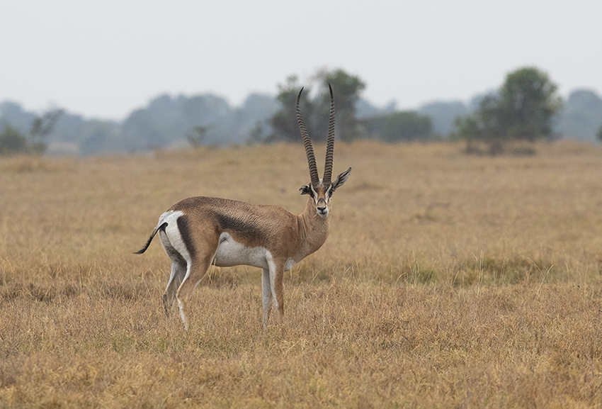 ���� (4).jpg