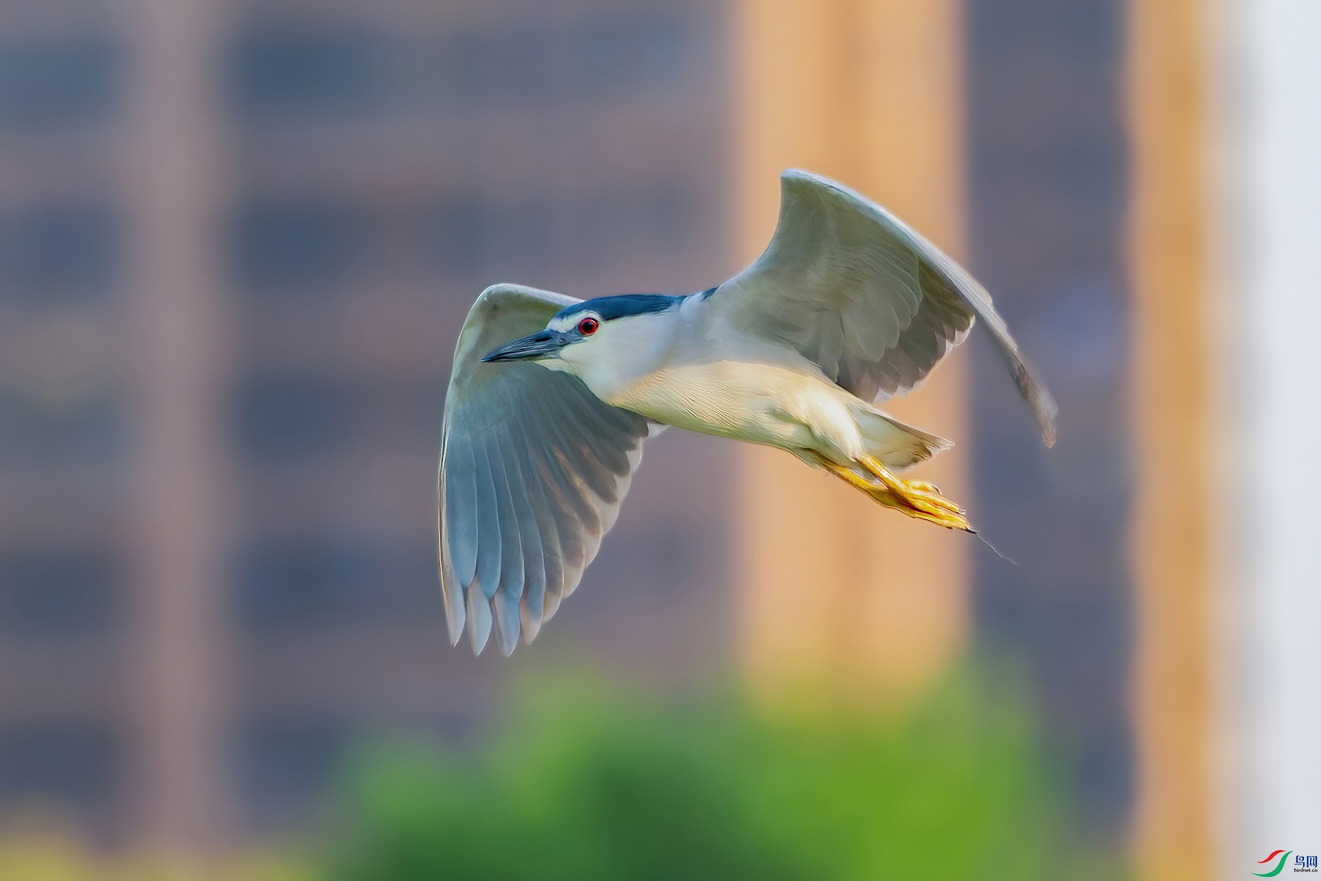 _MG_3606-CR2.jpg
