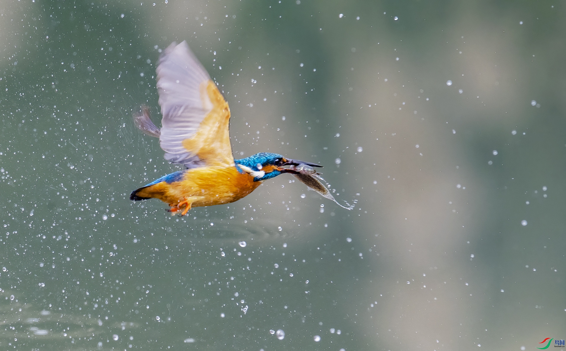 DSC_7574-2.jpg